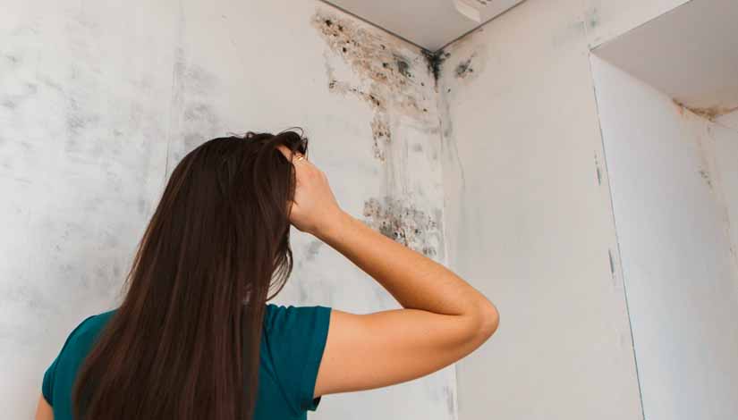 How to Get Rid of Mould